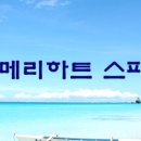 하트여행사 이미지