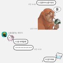 [일상] 고작 일주일 사이에 많은 일이 있었음