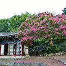 계룡농장 이미지