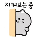 마마칼국수 네이버블로그