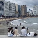 광안리에서 즐길거리 중 하나인 광안대교 요트투어 이미지