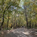 와선대화장실 이미지