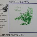 원주굽이길 15코스 싸리치옛길 이미지