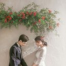 홍스웨딩투게더