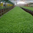 수경농장 이미지