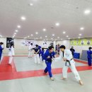 용인대 대구유도체육관 이미지