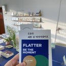 플랫터