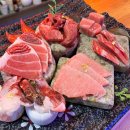 해도참치 이미지