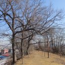 강화읍-2 이미지