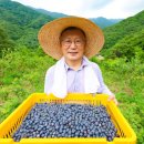 지리산 산청식품