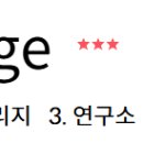 모자이크 뮤즈 (mosaic muse)