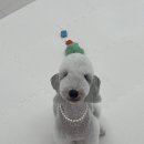 멍발란스 이미지