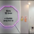 아르떼 아이래쉬