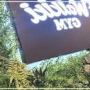 와이키키짐 | 주안 헬스, 나의 건강 혁명을 만들다! 와이키키짐 PT 주안점 후기