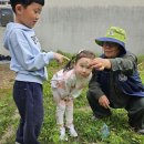봉오초등학교병설유치원 이미지