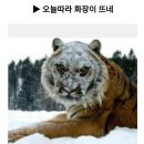 (주)오투그린 이미지