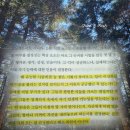 신성모터스 - 청주시 흥덕구 2순환로 944 | 내면 근력 책 | 짐 머피 책 후기 | 굽은 허리의 어르신이 증명해 낸 유능함의 실체 추천 리뷰 핵심 요약