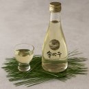솔향 이미지