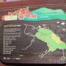 천관산동백숲주차장 이미지