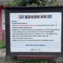 동갈보대 이미지