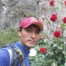 늑대와 여우 이미지