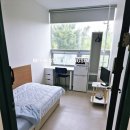 대생약국 이미지