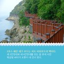 제5회 정기산행 경남창원 저도 비치로드 트레킹&amp;용두산(6/22) 이미지