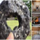 작은 언니네 민박 이미지