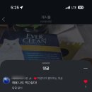 5월 일상 _ 나는 콩이를 사랑해