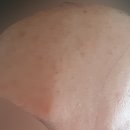코슈마드 네이버블로그
