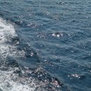 욕지사계절민박 이미지