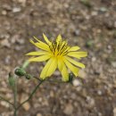 어제 오늘 그리고 -조용필 이미지