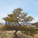 목천농장 이미지