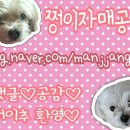 [분당 판교 미용실]1인미용실 &#34;아도헤어&#34; 클리닉 후기!