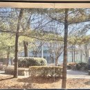 까치울역 4번 출구 이미지