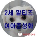 운정한빛동물병원 이미지