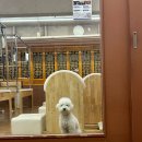 조선필라테스 송내점 이미지