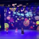 홍천군화촌면구성포보건진료소 | 춘천 경매3계 2024 타경 1916 (2) [축사(농가시설)]