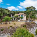 강릉애 진심 이미지