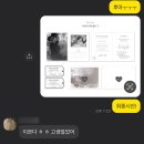 베르니프로젝트 이미지
