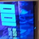 적우님 노래하다가100점 이미지