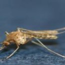 금강종합쇼핑센터 이미지