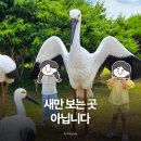 태안 여행 둘째 날 어디 갈까? 5살 아이와 서산버드랜드 다녀온 후기