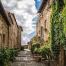 작은정원 이미지