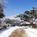 하얀마음 이미지