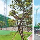 대성골프랜드 이미지