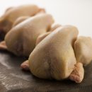 주식회사 대성푸드시스템
