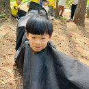 해오름 유아숲체험원 이미지