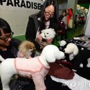 코리아동물약품 이미지