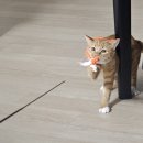 옛장터갈비 | 명절을 앞둔 2월 일상 (1)